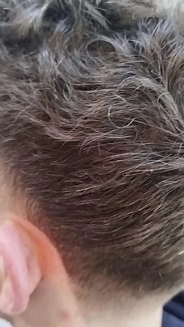 Taper met een natuurlijke overgang